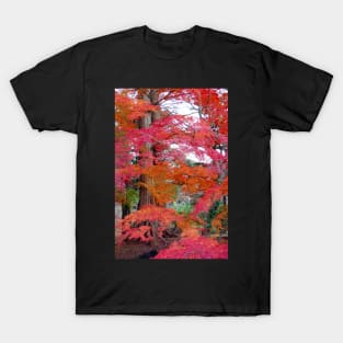 Autumn Colours 5 T-Shirt